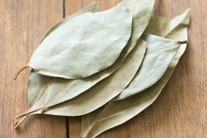 Bay Leaf
